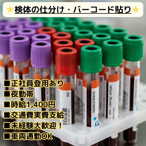 バイト先の写真