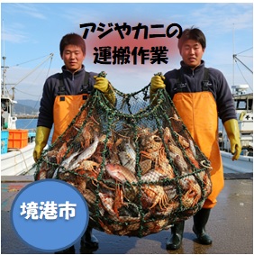 バイト先の写真