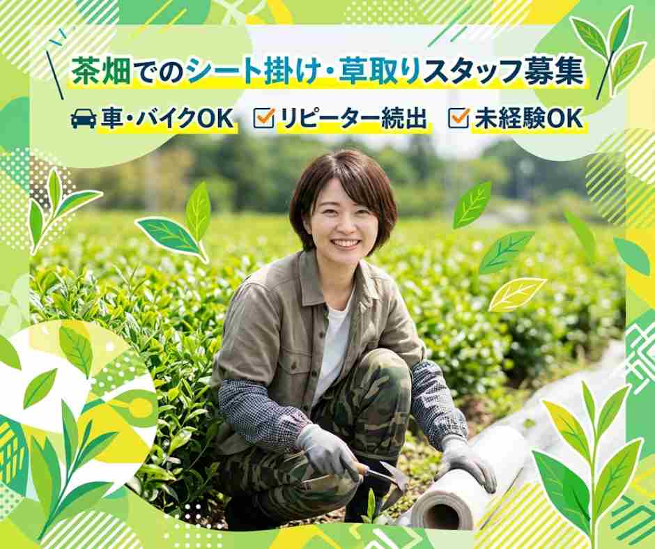 バイト先の写真
