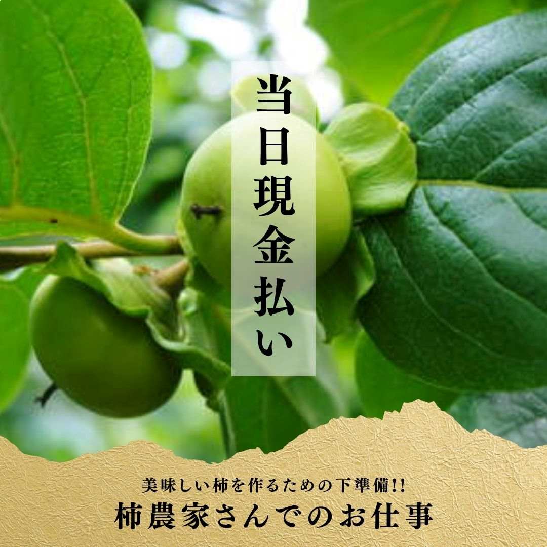 バイト先の写真