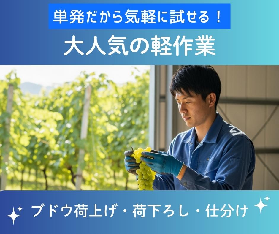 バイト先の写真