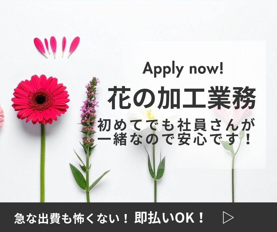バイト先の写真