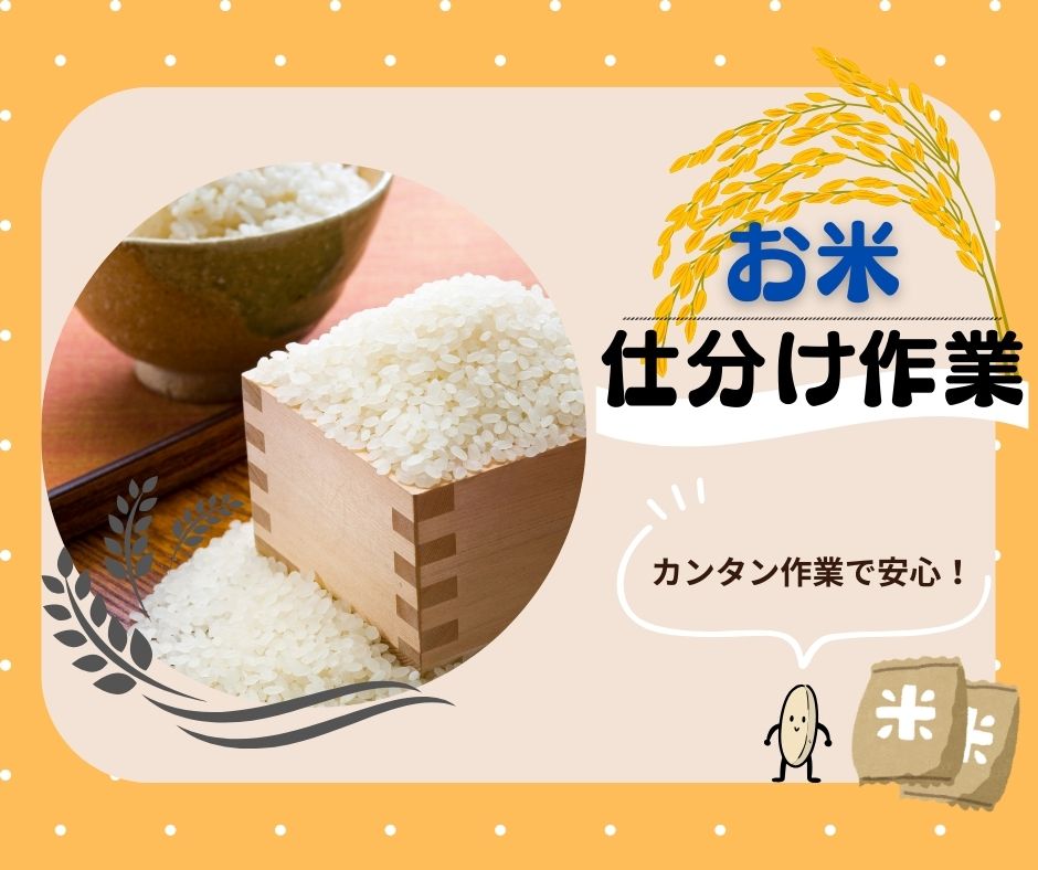 バイト先の写真