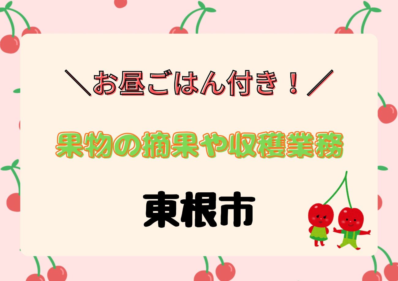バイト先の写真