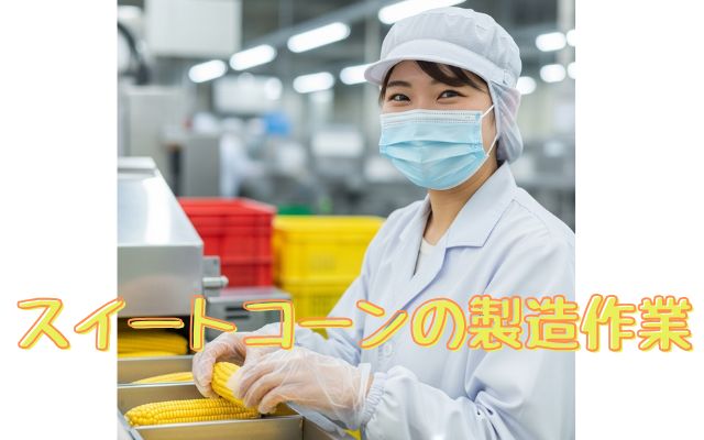 バイト先の写真