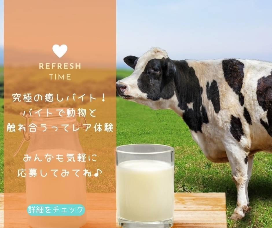 バイト先の写真