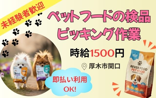 バイト先の写真