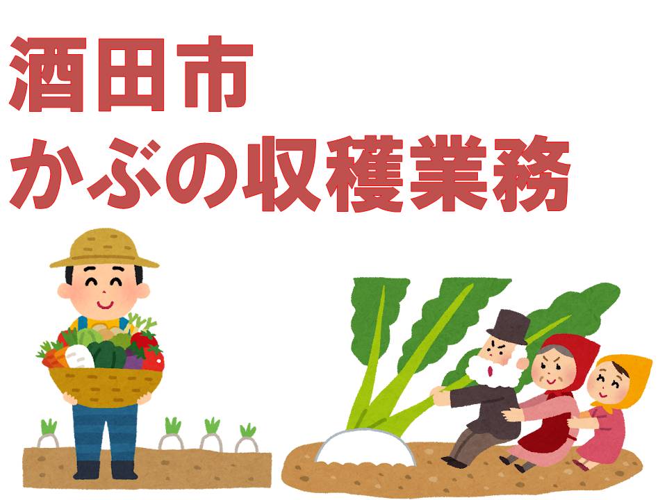 バイト先の写真