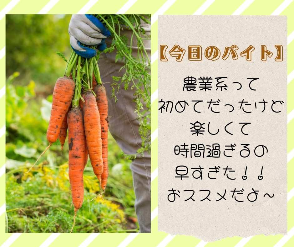 バイト先の写真