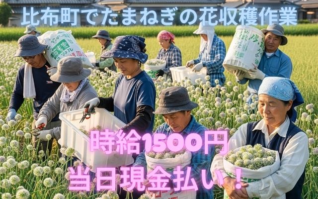 バイト先の写真