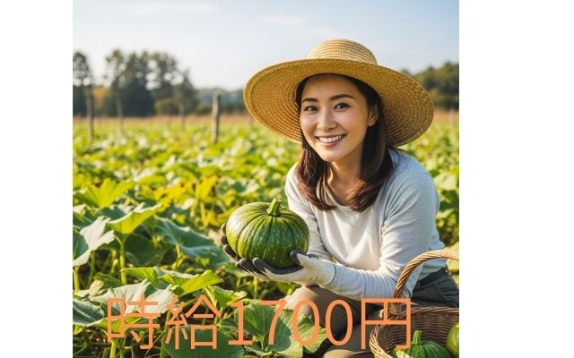 バイト先の写真