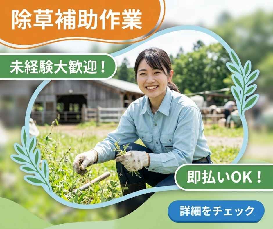 バイト先の写真