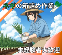 バイト先の写真