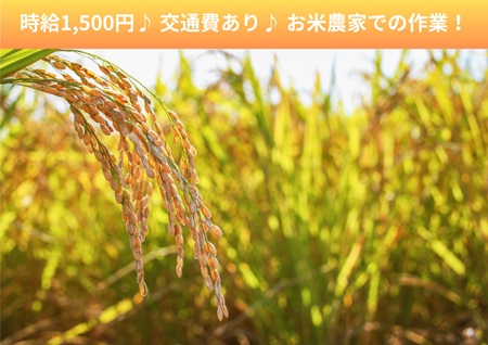 バイト先の写真