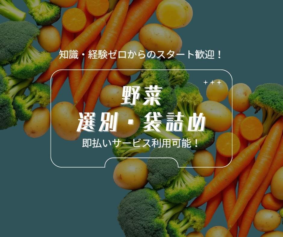バイト先の写真