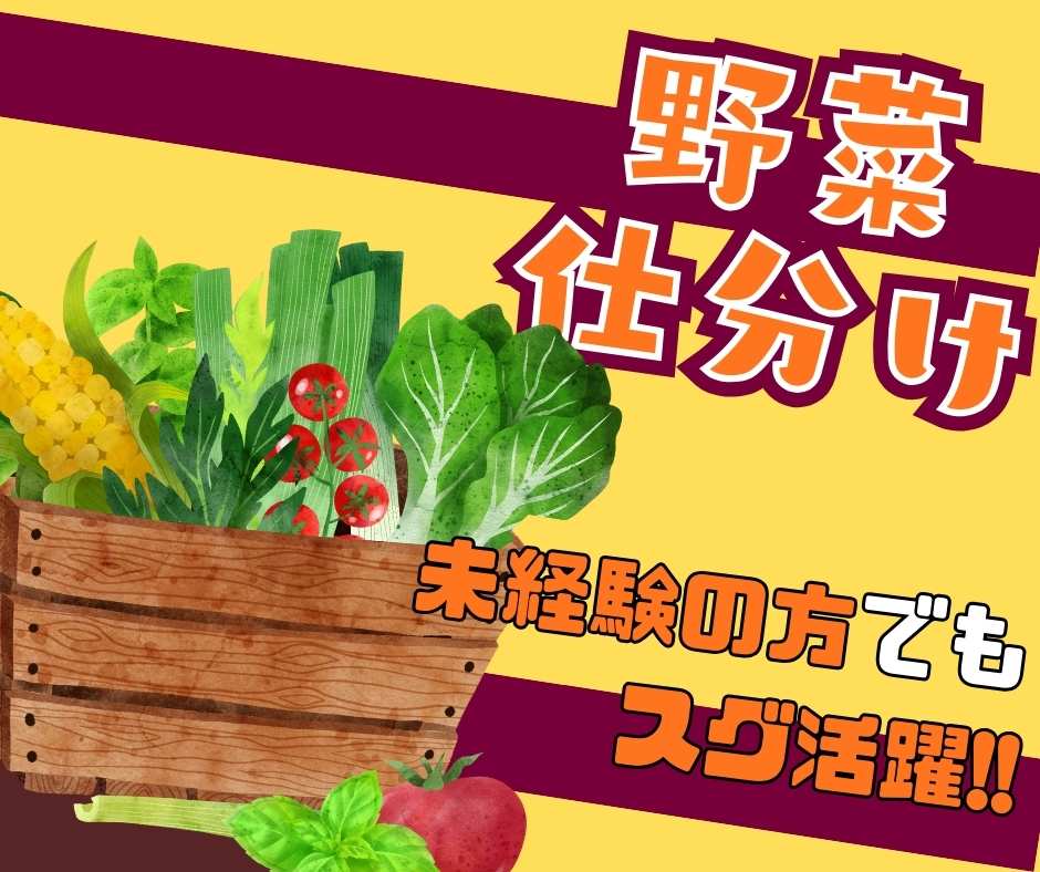 バイト先の写真