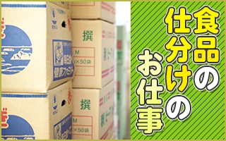 バイト先の写真