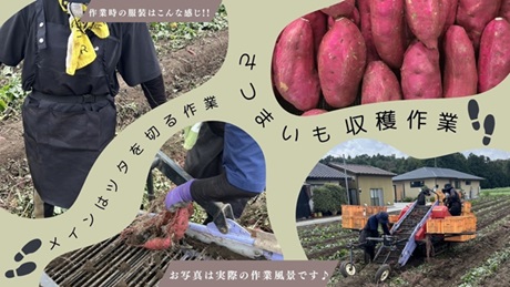 バイト先の写真