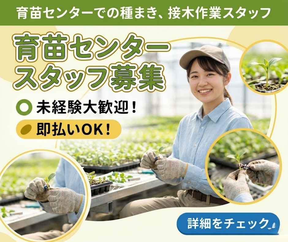 バイト先の写真
