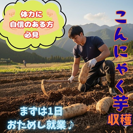 バイト先の写真