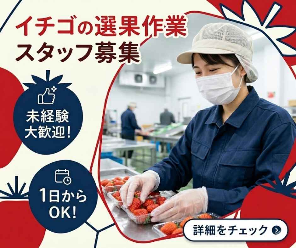 バイト先の写真