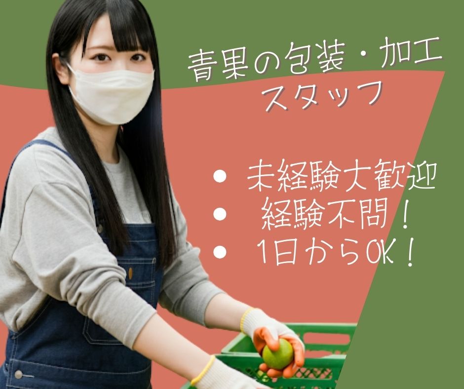バイト先の写真