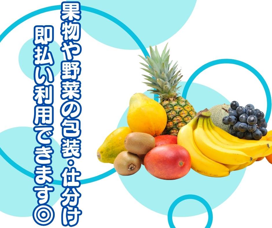 バイト先の写真