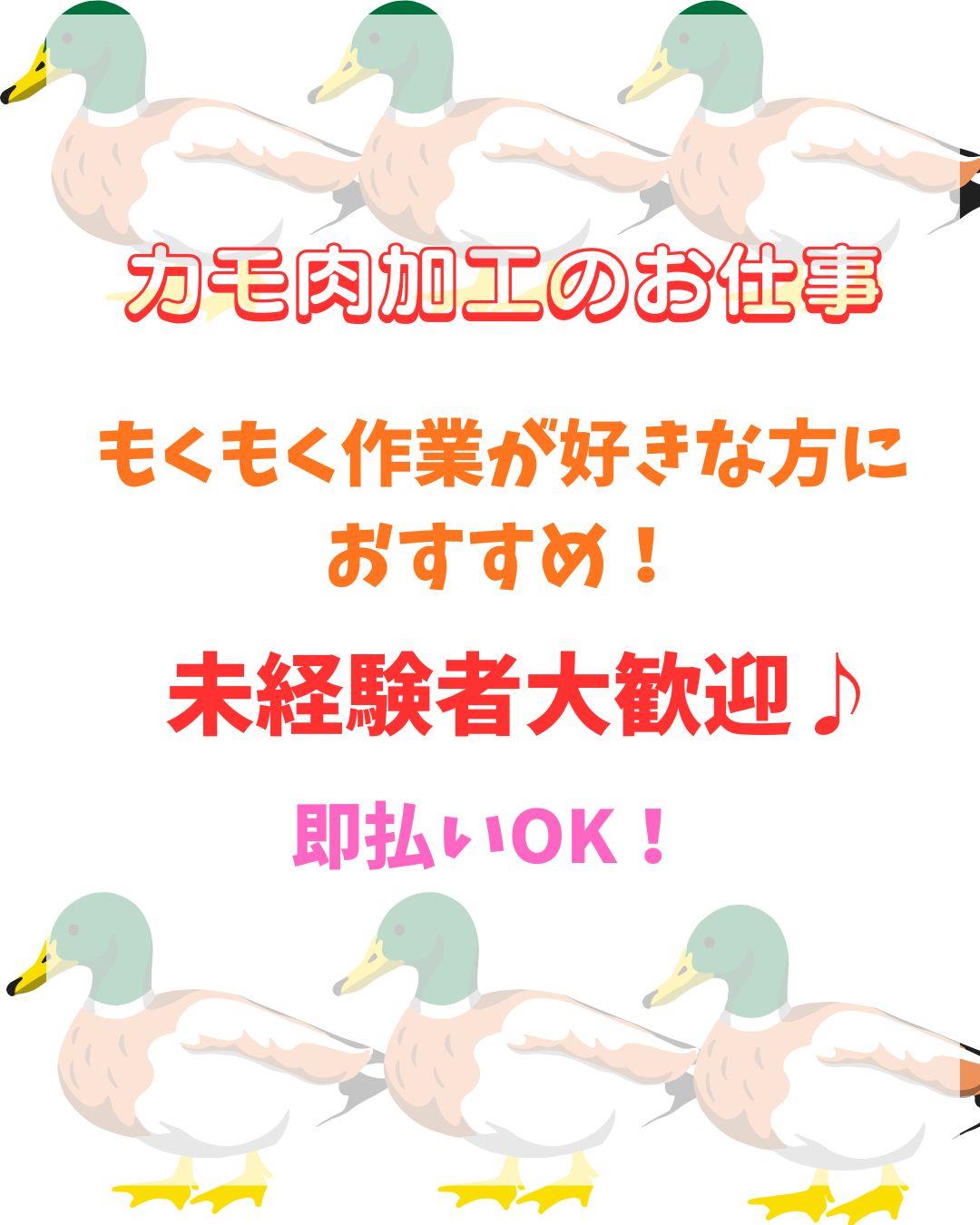 バイト先の写真