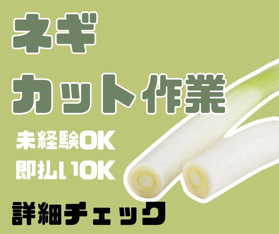 バイト先の写真