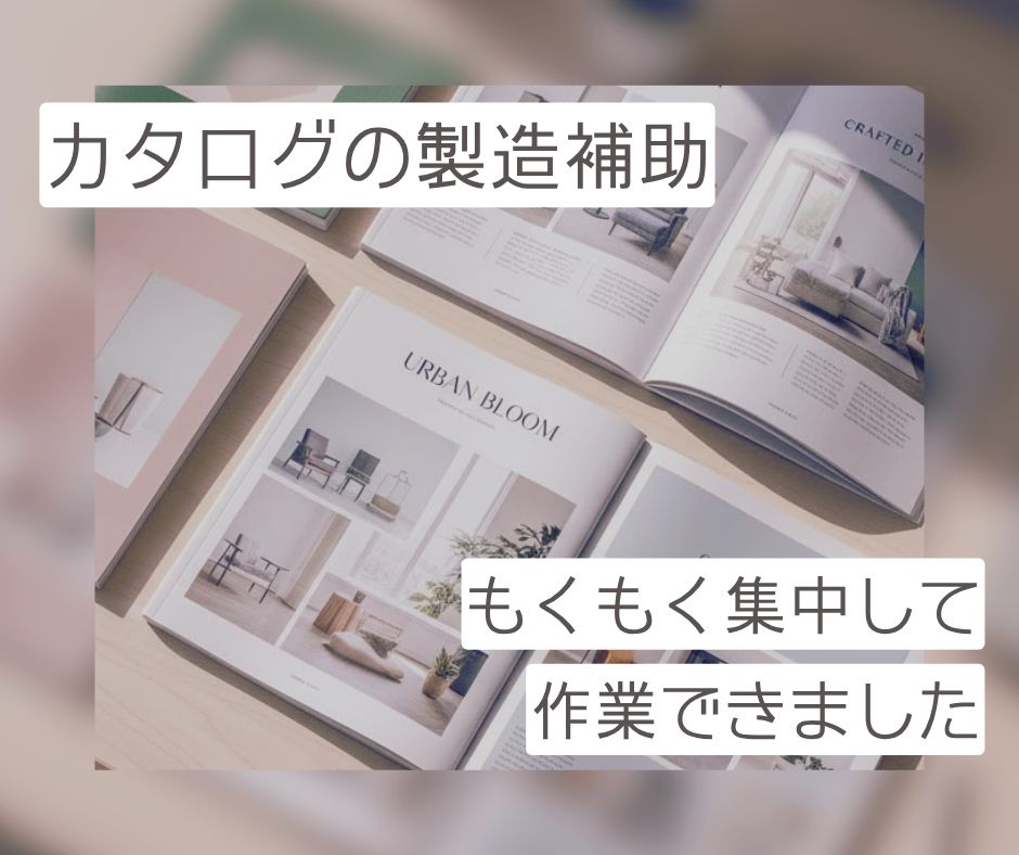 バイト先の写真