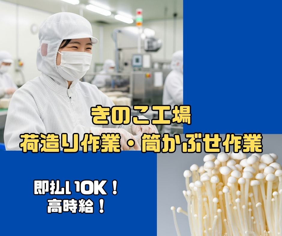 バイト先の写真