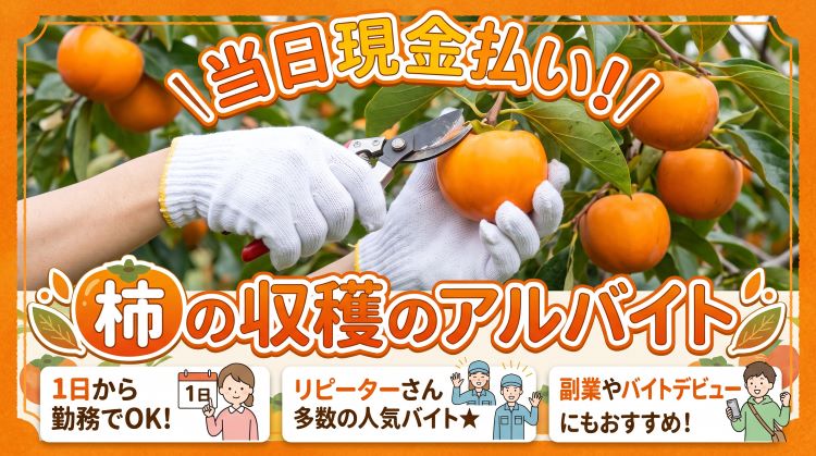 バイト先の写真