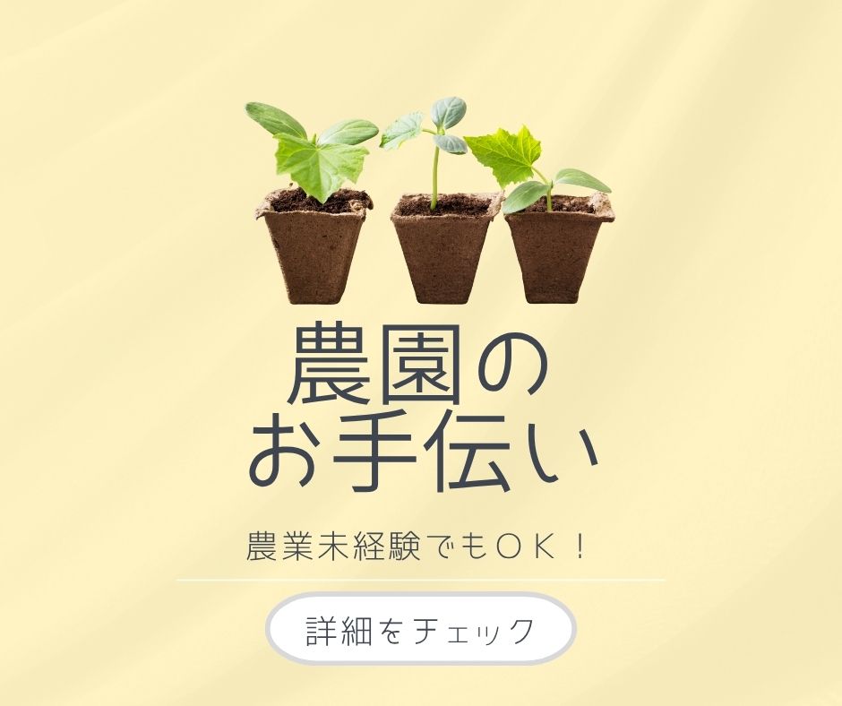 バイト先の写真