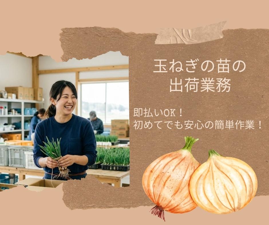 バイト先の写真