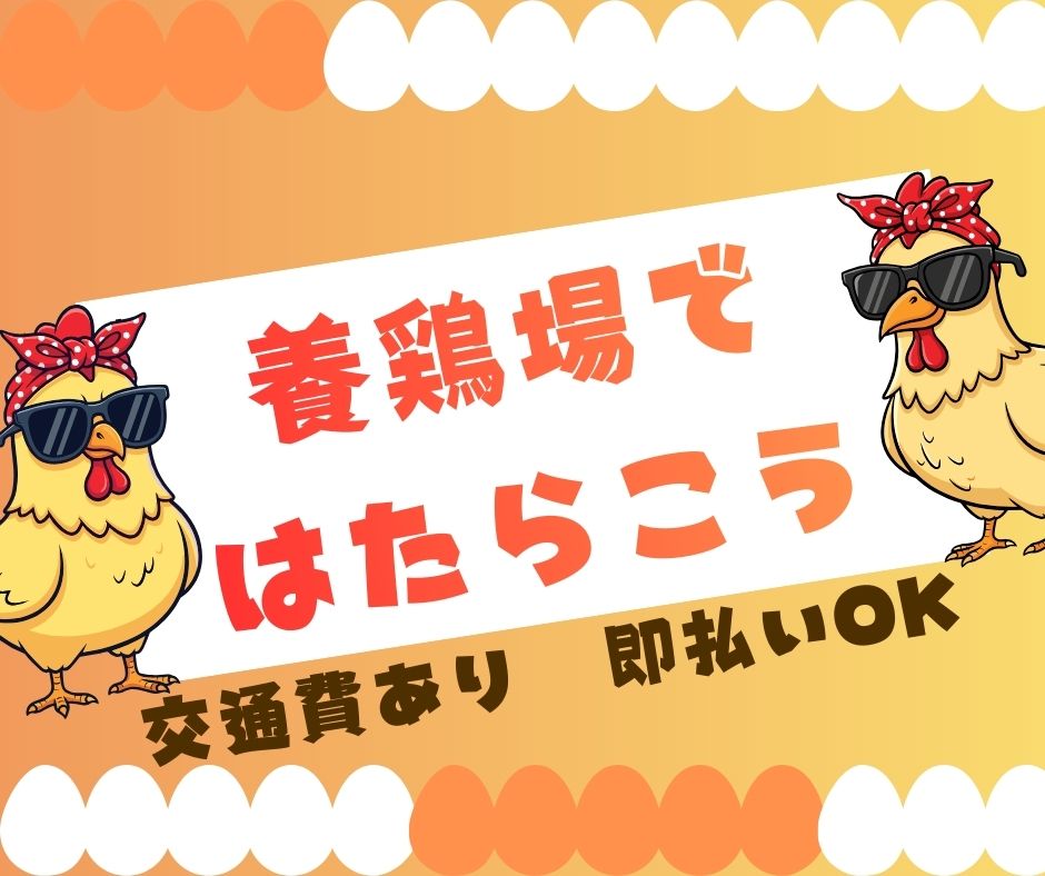 バイト先の写真