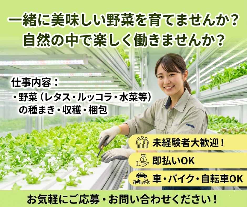 バイト先の写真