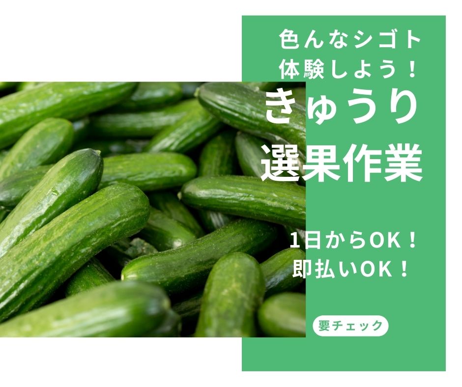 バイト先の写真