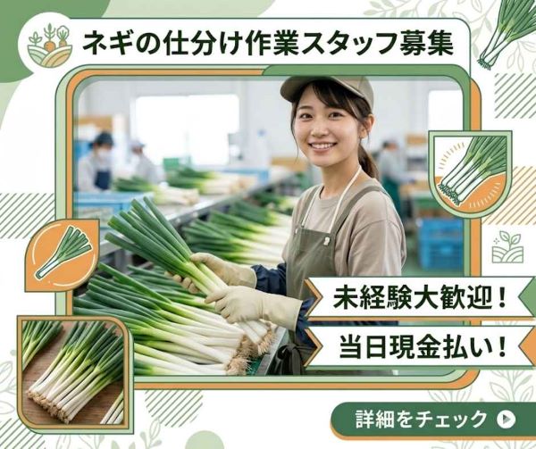 バイト先の写真