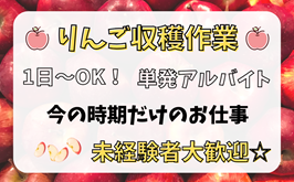 バイト先の写真