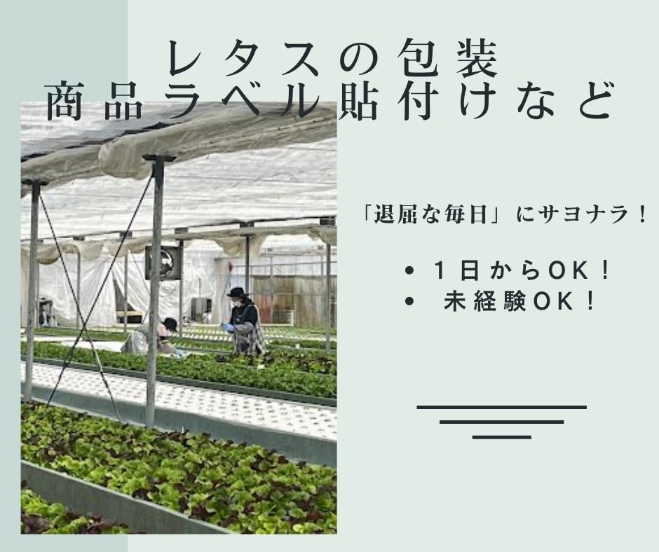 バイト先の写真