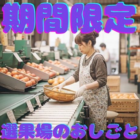 バイト先の写真