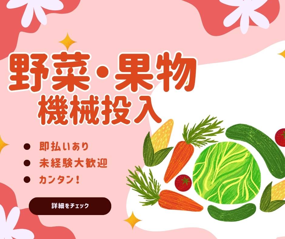 バイト先の写真