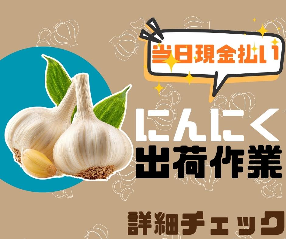 バイト先の写真