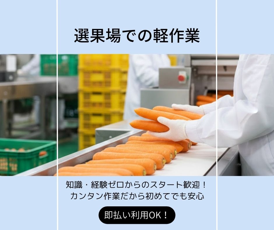 バイト先の写真