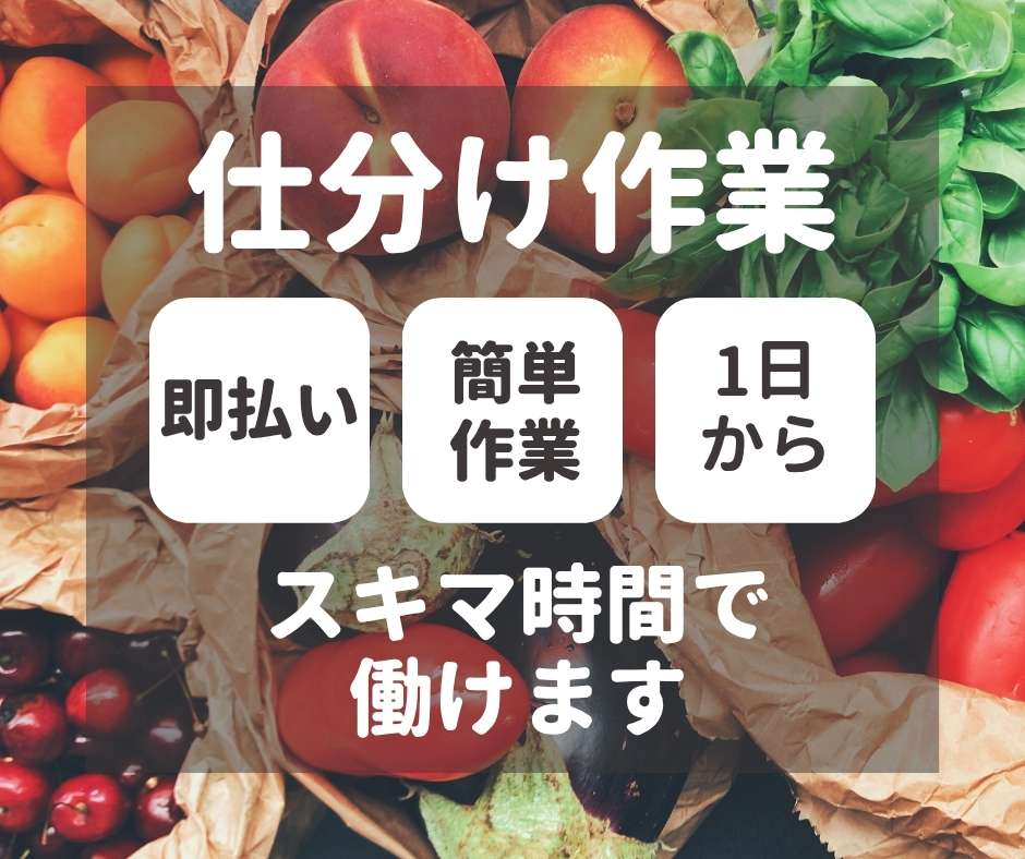 バイト先の写真