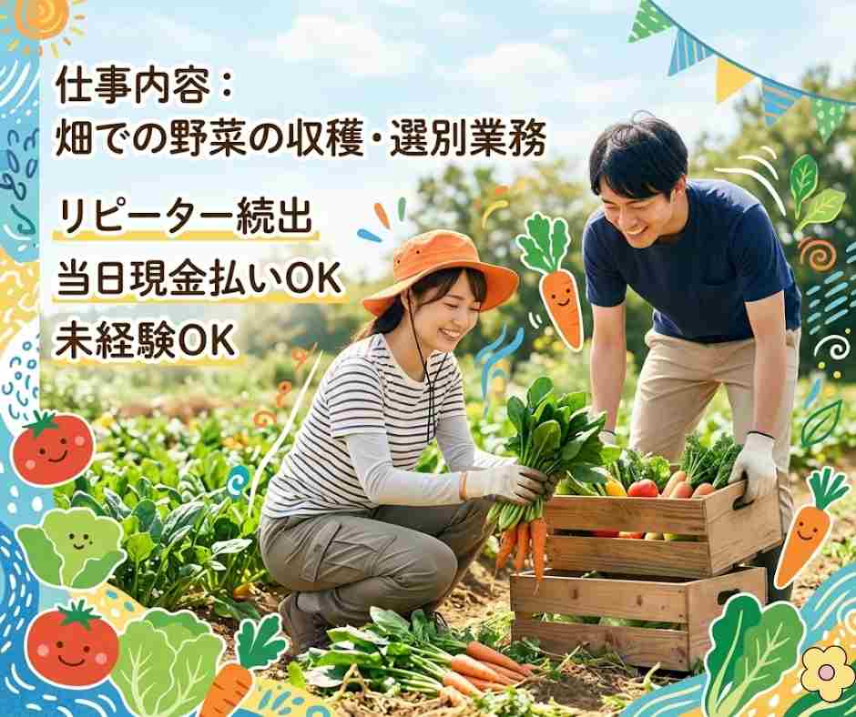 バイト先の写真