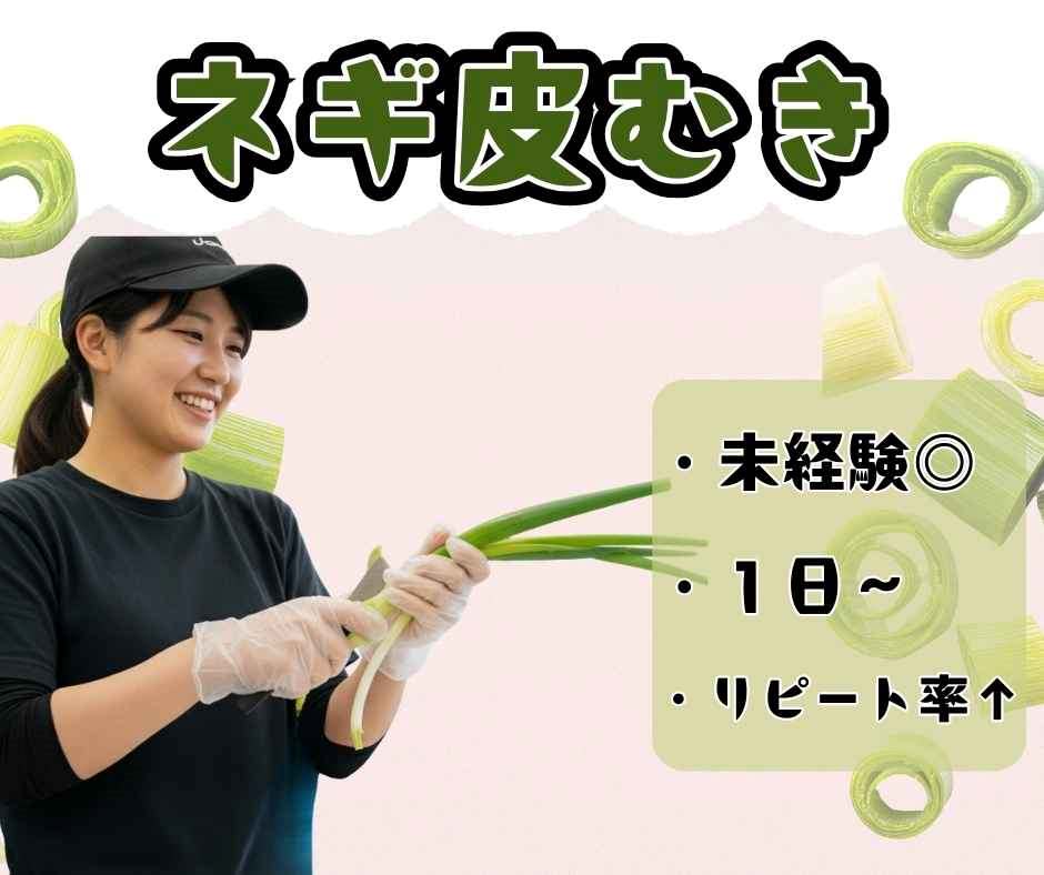 バイト先の写真