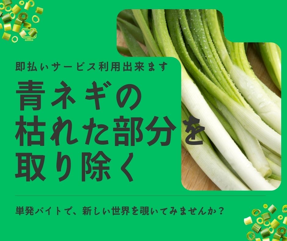 バイト先の写真