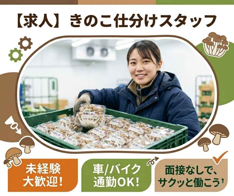 バイト先の写真