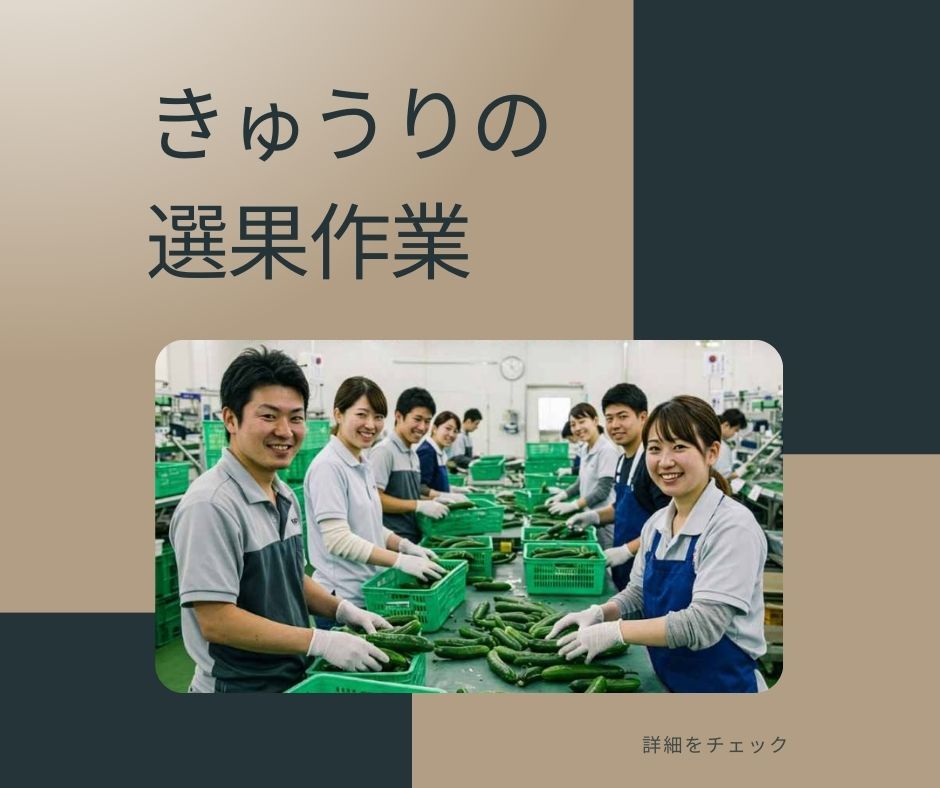 バイト先の写真